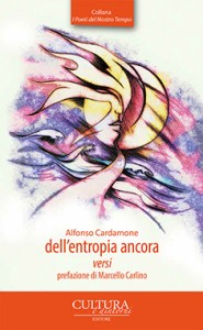 Alfonso Cardamone - dell'entropia ancora